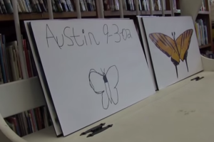 Austins Butterfly (video)