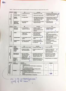 schema bijeenkomst 1